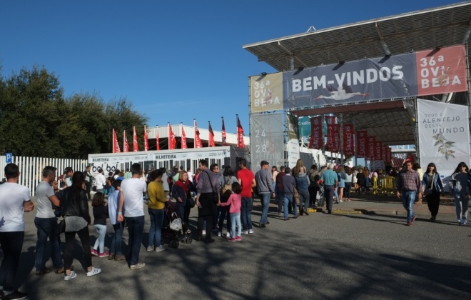 Ovibeja arranca hoje em Beja e debate “como alimentar o planeta”