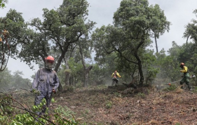 Proprietários defendem prorrogação de prazo limpeza de terrenos