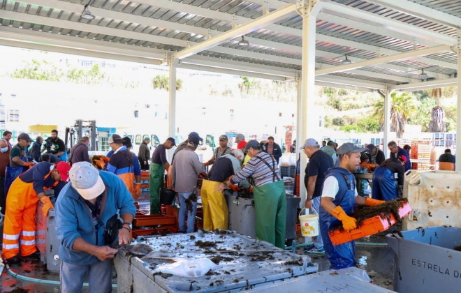Sines assinalou o Dia do Pescador