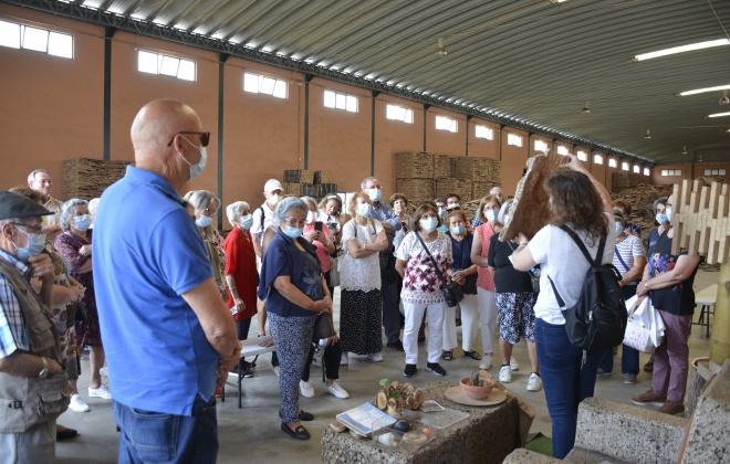Seniores do concelho de Santiago do Cacém visitaram São Brás de Alportel