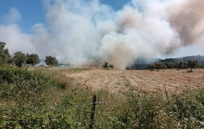 Quase todo o território do continente em perigo máximo e muito elevado de incêndio