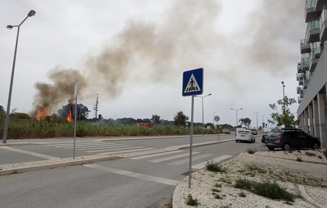 Bombeiros combateram incêndio na zona urbana de Sines