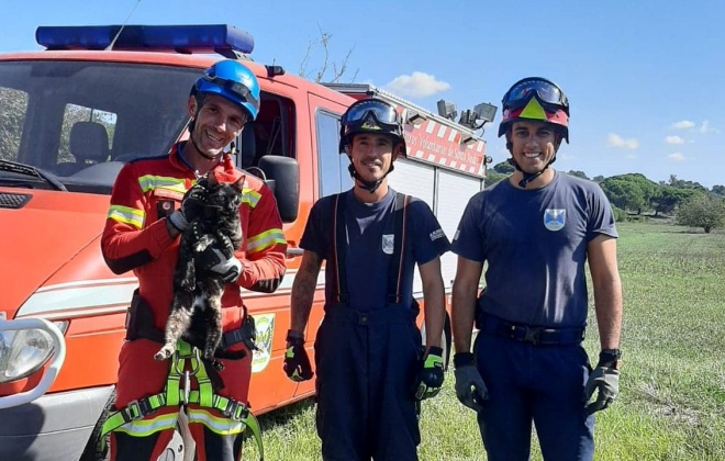 Gata foi resgatada de poço com 12 metros de profundidade na Aldeia de Santo André