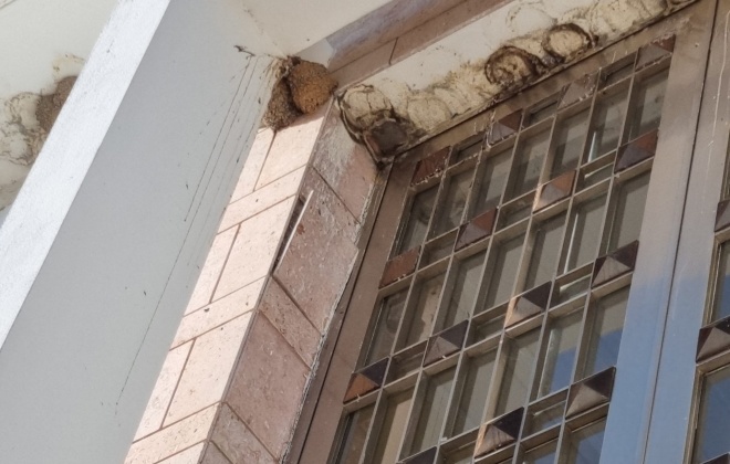 Câmara Municipal de Alcácer do Sal denuncia mau estado do edifício do Tribunal
