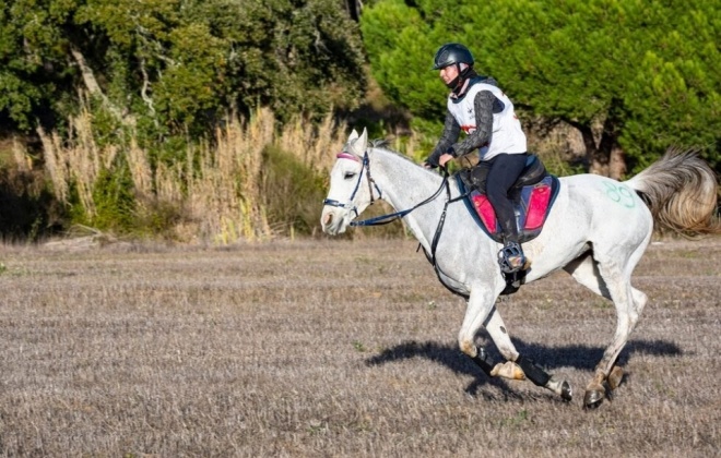 Sines está a receber prova equestre até às 18 horas