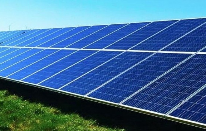 Projeto-piloto estuda produção agrícola em futura central solar de Cercal do Alentejo
