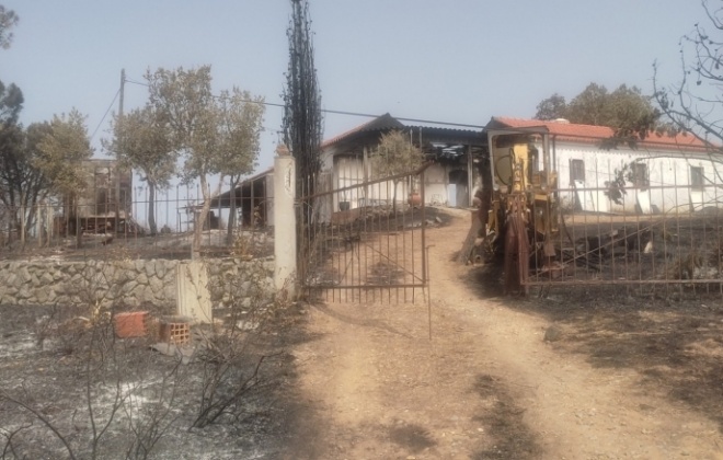 Policia Judiciária investiga origem do incêndio em Odemira