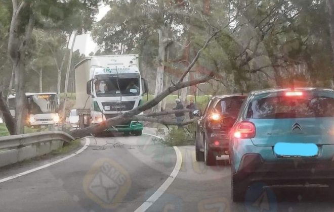 Depressão Irene provoca inundações e queda de árvores no Litoral Alentejano