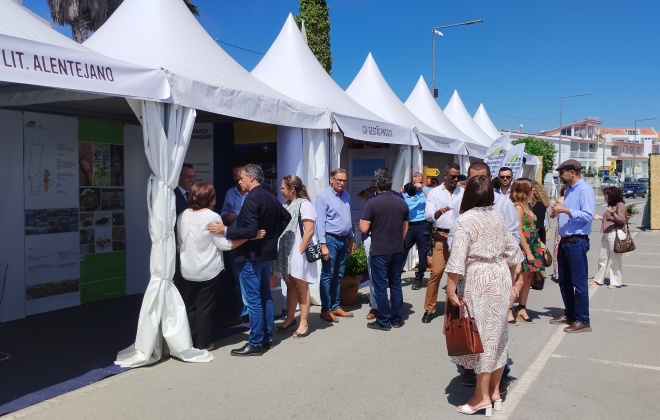 Vila Nova de Milfontes está a mostrar o melhor do turismo do concelho de Odemira até domingo
