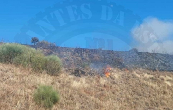 Incêndio em Aljustrel entrou em fase de rescaldo