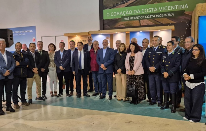 Festival da Batata-doce de Aljezur terminou com um balanço “muito positivo”