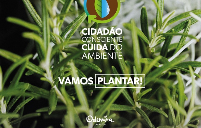 Câmara Municipal de Odemira vai distribuir 250 árvores autóctones pela população