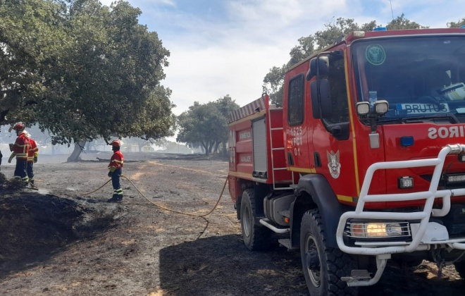 Dispositivo de combate a incêndios vai contar com menos operacionais e mais meios aéreos em 2025