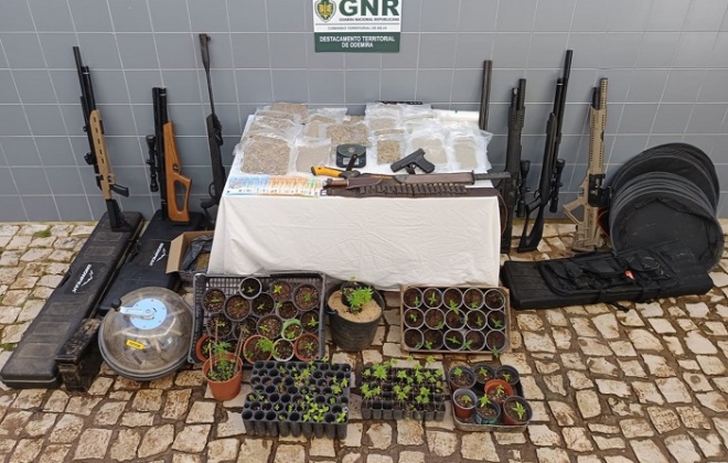 Homem de 65 anos detido em Odemira com mais de 2.600 doses de droga