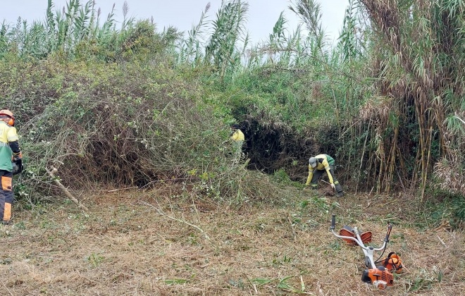 Termina este domingo o prazo para limpar os terrenos florestais e agrícolas
