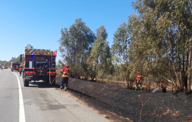 Bombeiros combateram novo incêndio junto do IC1 em Alvalade