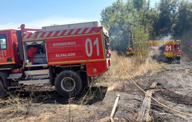 Bombeiros combateram incêndio junto da EN259 em Ferreira do Alentejo