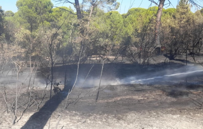 Incêndio consumiu área de mato perto de Ermidas-Sado no concelho de Santiago do Cacém