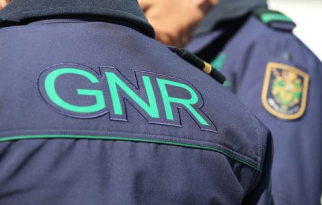 GNR apreende armadilhas de caça ilegais em Montemor-o-Novo e identifica suspeito