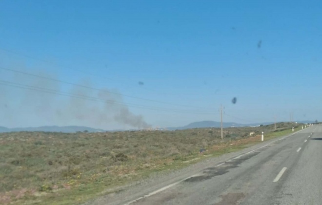 PJ investiga incêndio em empreendimento de herdeira da Zara em Grândola