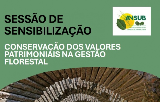 ANSUB organiza a sessão “Conservação dos Valores Patrimoniais na Gestão Florestal” (com áudio)