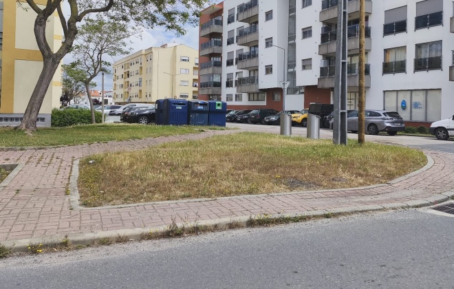 Empresa contratada para limpar o espaço público em Sines não está a cumprir o contrato (com áudio)