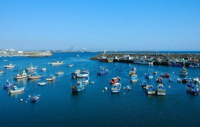 Pesca da sardinha vai reabrir nesta segunda-feira dia 4 de maio e Portugal conta com menos 960 toneladas face ao ano passado