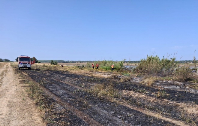 Bombeiros combateram incêndio na Comporta no concelho de Alcácer do Sal