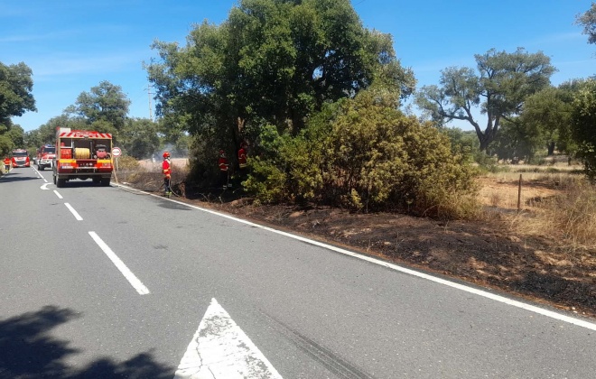 Bombeiros combateram incêndio na berma da EN 121 em Ermidas-Sado