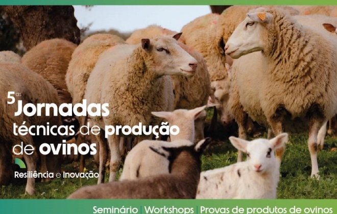 Ourique recebe as 5.ªs Jornadas Técnicas de Produção de Ovinos sob o mote da resiliência e inovação