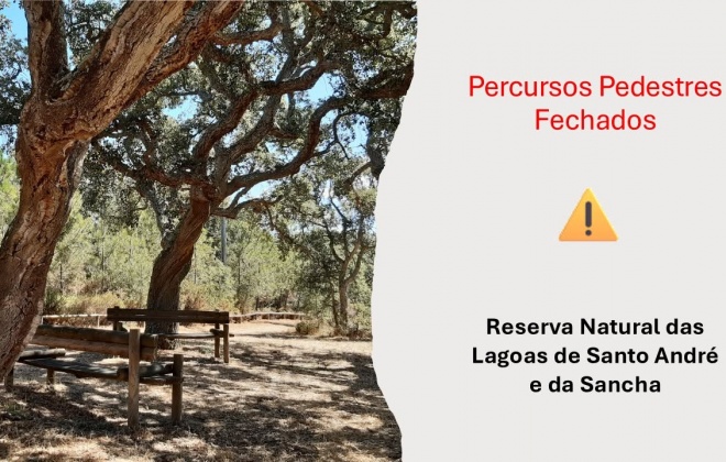 Perigo de incêndio rural fecha percursos pedestres na Reserva Natural das Lagoas de Santo André e da Sancha